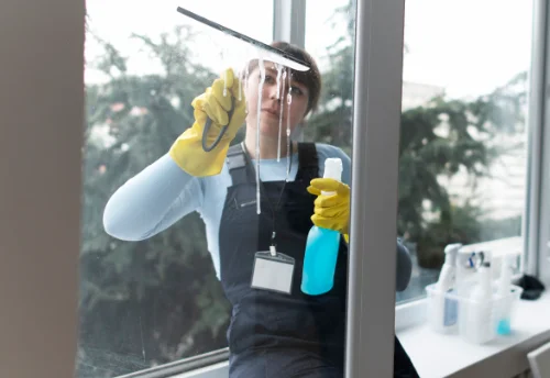Nettoyage de vitres intérieures et extérieures à Crozon-sur-Vauvre